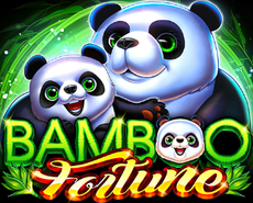 Live Casino image