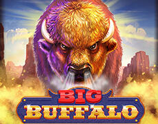 Live Casino image
