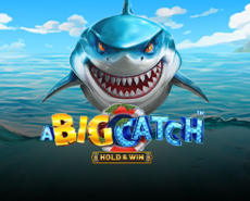Live Casino image