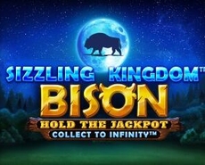 Live Casino image