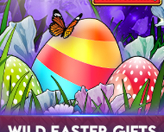 Live Casino image