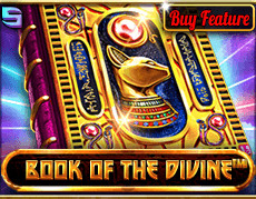 Live Casino image