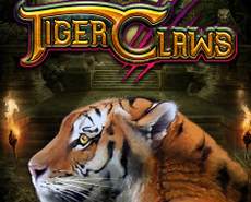 Live Casino image