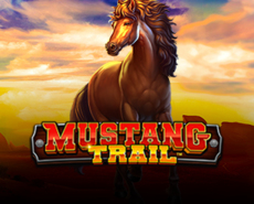 Live Casino image