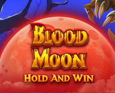 Live Casino image