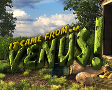 Live Casino image