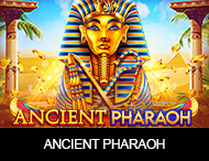 Live Casino image