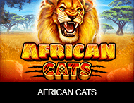 Live Casino image