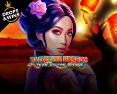 Live Casino image
