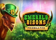 Live Casino image