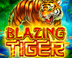 Live Casino image