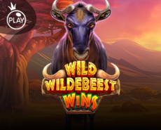 Live Casino image