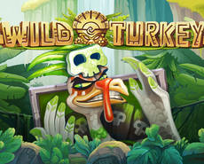 Live Casino image