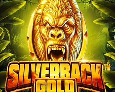 Live Casino image