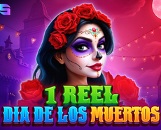 Live Casino image