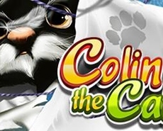 Live Casino image