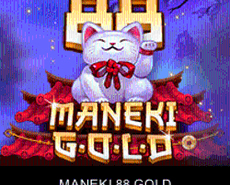 Live Casino image