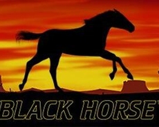 Live Casino image
