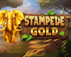 Live Casino image