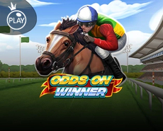Live Casino image
