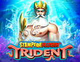 Live Casino image