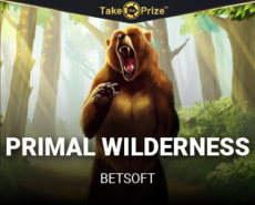 Live Casino image