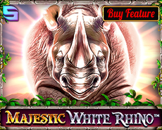 Live Casino image