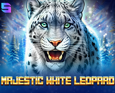 Live Casino image