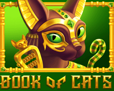 Live Casino image
