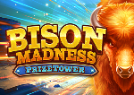 Live Casino image