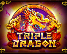 Live Casino image