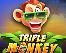 Live Casino image