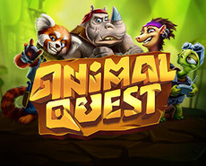 Live Casino image
