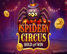 Live Casino image