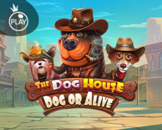 Live Casino image