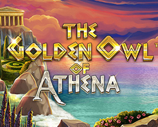 Live Casino image
