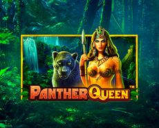 Live Casino image