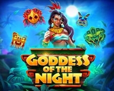 Live Casino image