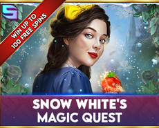 Live Casino image