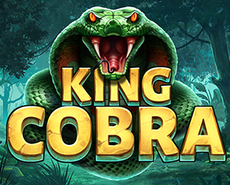 Live Casino image
