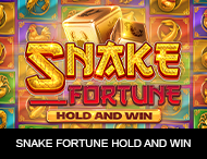 Live Casino image