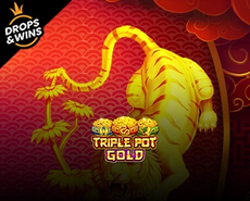 Live Casino image