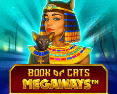 Live Casino image