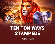 Live Casino image