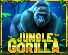 Live Casino image