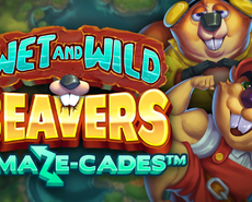 Live Casino image