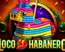 Live Casino image