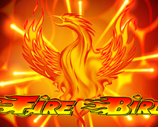 Live Casino image
