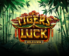 Live Casino image