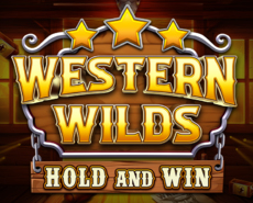 Live Casino image